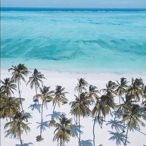 Meet your Posher, Annmarie